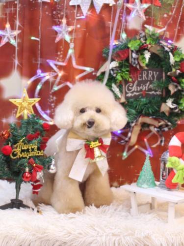 20231228クーくん